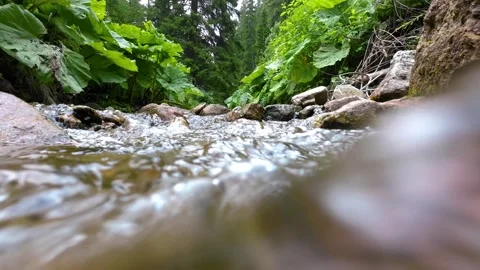 Close up of tropic clear stream running through stone boulders Stock Footage 247076766