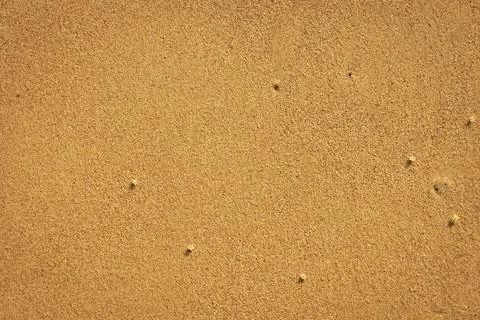 Close Up of Tropical Beach Sand Texture With Copy Space Stock Photos
