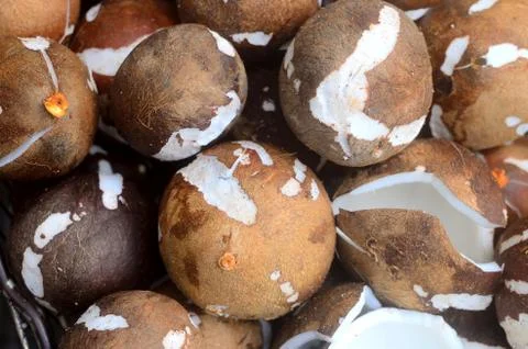 Close up tropical coconuts fruit Stock Photos