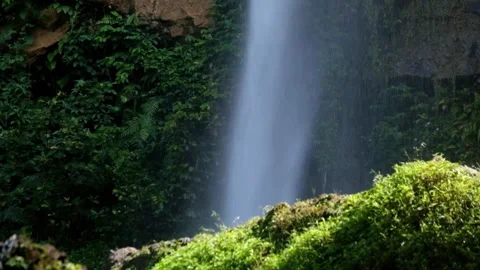 Close up of a tropical rainforest waterfall flowing rapidly Video stock 319878843