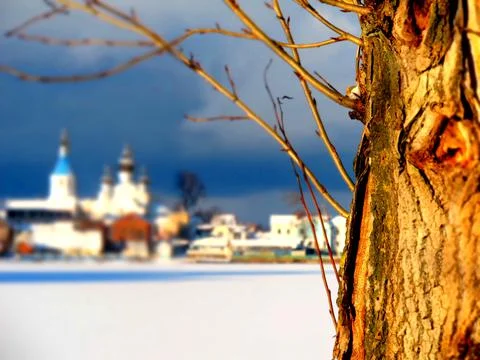 Close-up of a trunk of a zhereva, in the background a blurred city Stock Photos