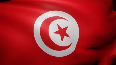 Close up of Tunisia flag waving in wind. Flag background 4K UHD 60FPS Stock Footage 121038428