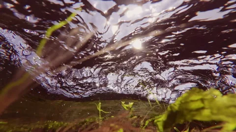 Close-up of turbulent current on surface of water during high tide in littoral Stock Footage 326327953