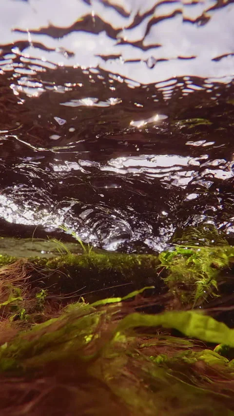 Close up of turbulent current on water surface during high tide in littoral zone Stock Footage 324247331