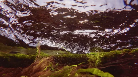 Close up of turbulent current on water surface during high tide in littoral zone Stock Footage 329124066