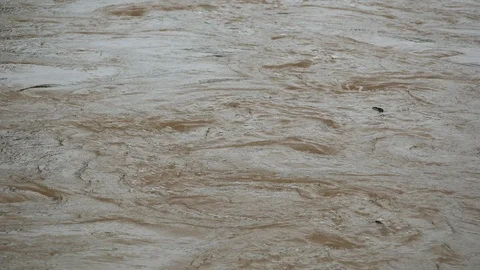 Close up Turbulent Flood River Stock Footage 115498949