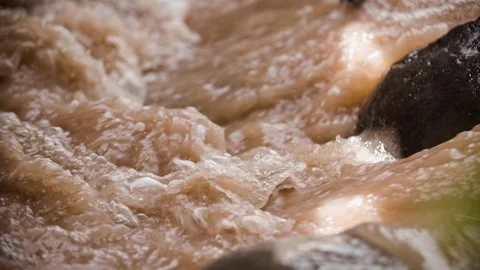 Close-up of a turbulent river 動画素材 292593433