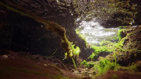 Close-up of turbulent stream with air bubbles in mountain stream in rock tunnel Stock Footage 304122640