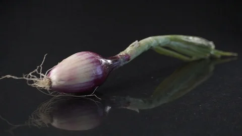 Close Up on a Turnip Video stock 85884633