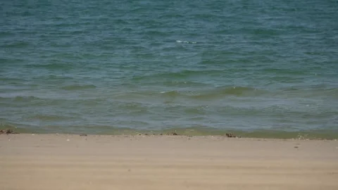 Close Up Turquoise sea wave against the sand. Stock Footage 304761341