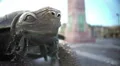 Close-up of turtle sculpture holding bunch of grapes in mouth, Bordeaux, France HD Footage