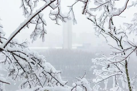 Close-up of twigs and tree branches covered in thick snow Stock Photos
