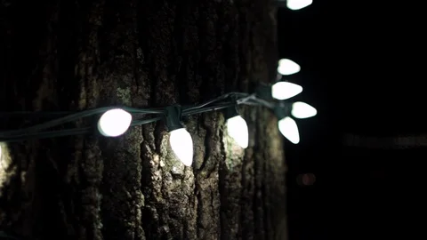 Close up of twinkle lights on tree in dark.mov Stock-Footage 95761127