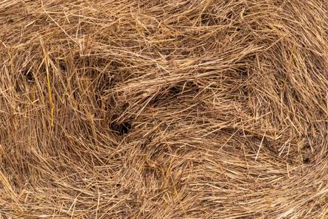 Close-up of a twisted stack of straw. Foto stock