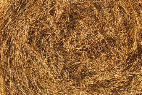Close-up of a twisted stack of straw. Texture for your projects Illustrazione stock