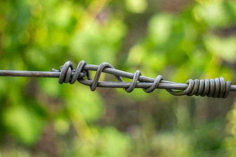 Close-up of a twisted wire connection in a vineyard fence Photos