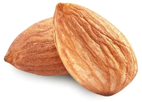 Close-up of two almonds with brown shells on white background Stock Photos