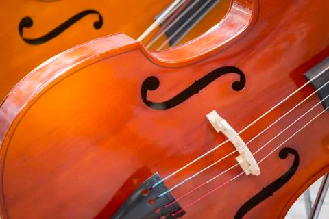 Close-up of two cello. violoncello. Photos
