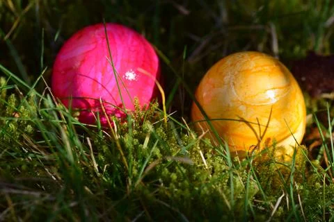 Close up of two colorful eggs in the mossy grass Stock Photos