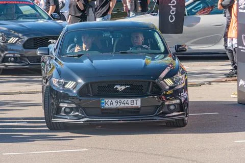 Close-up of two dark racing Mustangs at a car show, with lively crowd, clear  Stock Photos