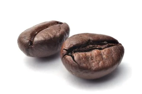 Close up of two dark roasted fair trade coffee beans on a white background Stock Photos