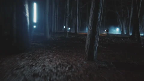 Close up two detectives men in woods at night with flashlight. Forest, security Stock Footage 183412381