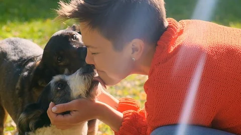 Close-up two dogs licks the face of the mistress Stock Footage 120764192