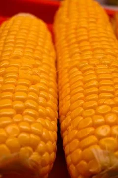 Close-up of two ears of corn Stock Photos
