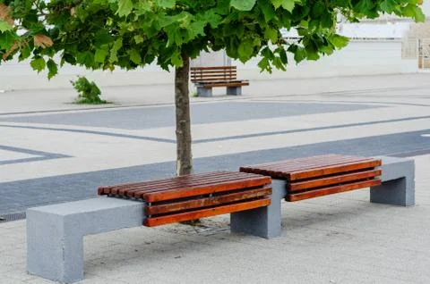 Close-up of two empty  sitting wood  benches on the esplanade  in park . Stock Photos