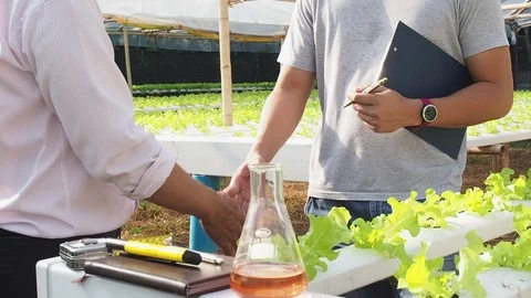 Close up of two Farmers shaking hands in plant nursery farm. Stock Footage 122667222