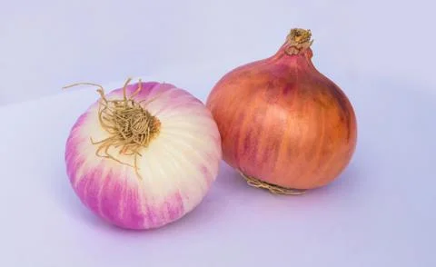 Close up of two fresh onion bulbs Stock Photos