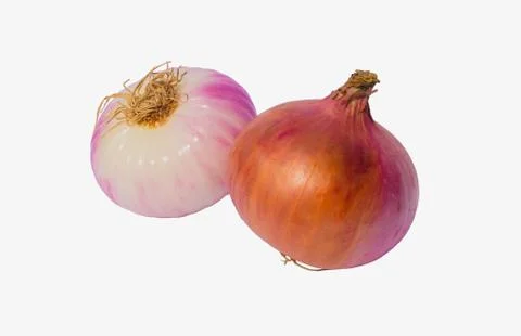 Close up of two fresh onion bulbs Stock Photos