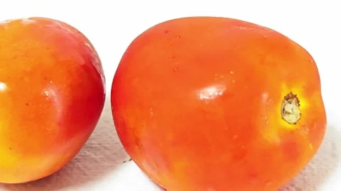 Close-up of two fresh ripe red tomatoes isolated on white background. 스톡 동영상 338991125