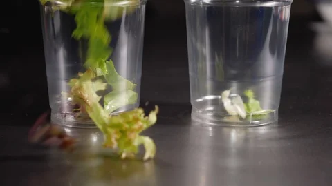 Close-up of two glasses in which fresh salads with two sauces. Stock Footage 128293672