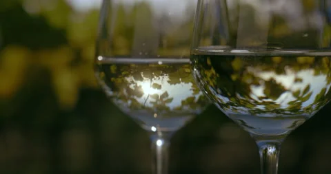 Close up of two glasses of white wine at sunset Stock Footage 219615010