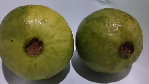 Close-Up of Two Green Crystal Guavas Showing Their Tips Stock Footage 229248458