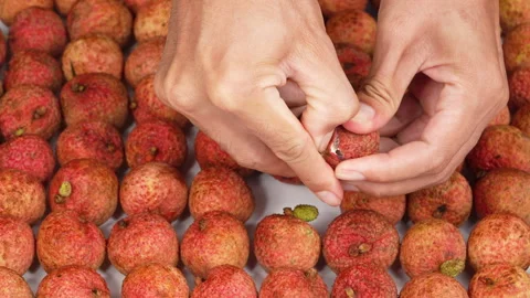 Close Up of Two Hands Peeling Fresh Ripe Lychee Fruit Shell Stock Footage 337327039