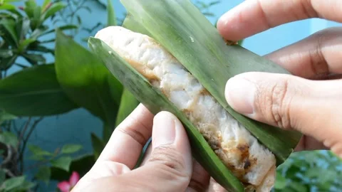 Close-up of two hands unwrapping a piece of traditional cooked food Stock Footage 319944973