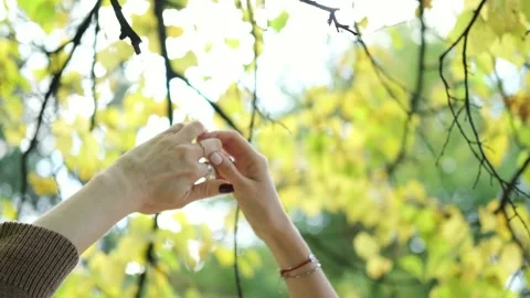 Close-up of two happy women's hands dancing in nature on an autumn day. The Stock Footage 253576922