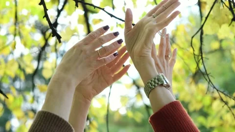 Close-up of two happy women's hands dancing in nature on an autumn day. The Stock Footage 253577088