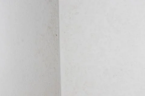 Close-up of two intersecting walls exhibiting subtle texture variations, 스톡 사진