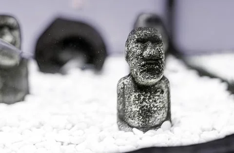 Close-up of two irregular objects on white beaded surface, possibly stone o.. Foto stock
