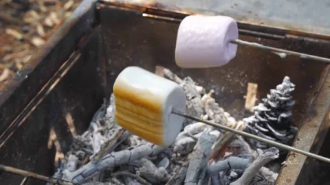 Close up of two marshmallows roasting on sticks over glowing embers in fire pit Stock Footage 317549860