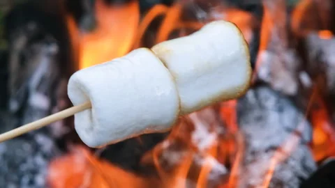 Close up of two marshmallows toasting on a stick above bright flames. The glossy Stock Footage 311198194