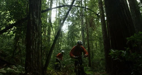 Close up of two men biking through forest in slow motion Stock Footage 64326981