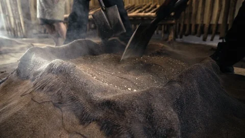 Close up two men digging dirt of steaming hangi Stock Footage 107921047