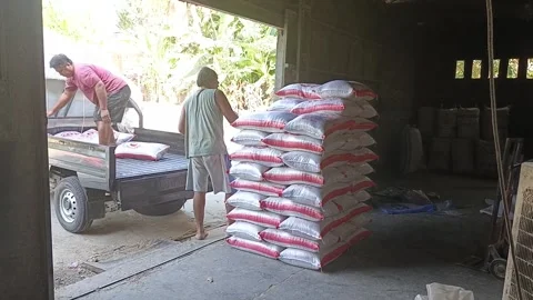 Close Up Two Men Rice Mill Workers Loading Sacks For Distribution Видео 345502598