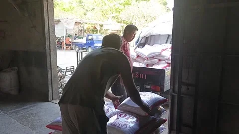 Close Up Two Mill Workers Finishing Loading Rice Sack Onto Pickup Truck Видео 345584276