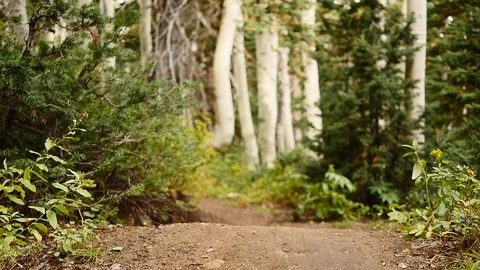 Close-up of two mountain bikers jump on a dirt trail with natural audio. Stock Footage 106791637