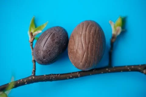 Close-up of two natural chocolate Easter eggs with delicate textures. 스톡 사진